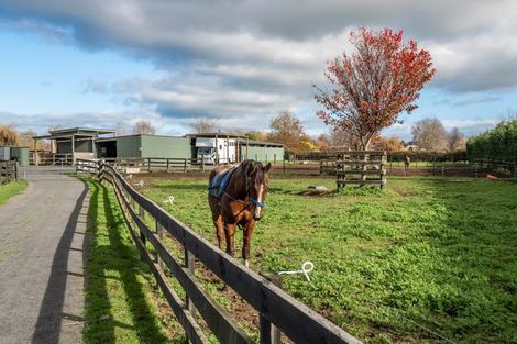 Photo of property in 2/101 Racecourse Road, Cambridge, 3493