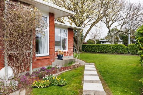 Photo of property in 393 Ruahine Street, Terrace End, Palmerston North, 4410