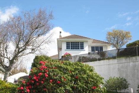 Photo of property in 114 Belt Road, New Plymouth, 4310