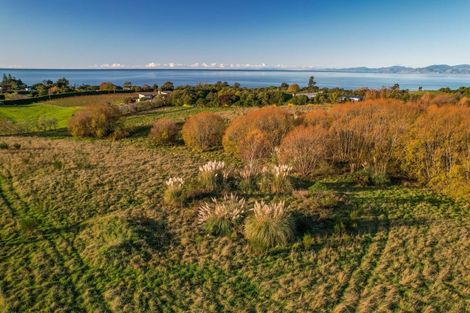Photo of property in 50 Cliff Road, Tasman, Upper Moutere, 7173