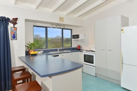 Photo of property in 132 Omana Road, Waiotira, 0193