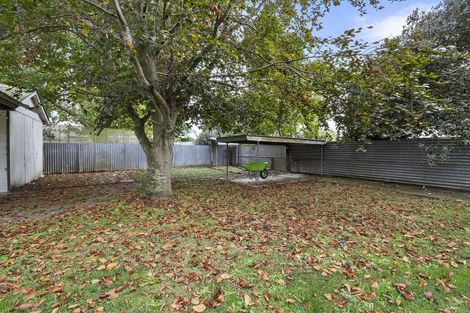 Photo of property in 59 Birmingham Street, Takaro, Palmerston North, 4412