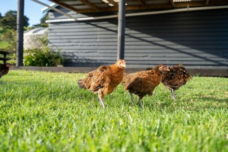 Photo of property in 14 Kaiikanui Road, Opuawhanga, Hikurangi, 0181