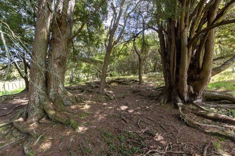 Photo of property in 810 Waiterimu Road, Waiterimu, Ohinewai, 3784