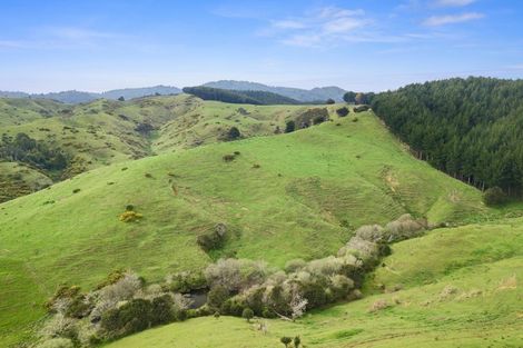 Photo of property in 284 Elgood Road, Glen Massey, Ngaruawahia, 3793