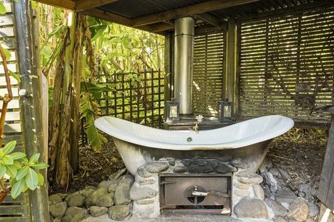 Photo of property in 202 Thompsons Track, Aongatete, 3178