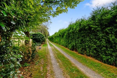 Photo of property in 115 Poutakataka Road, Ngakuru, Rotorua, 3077