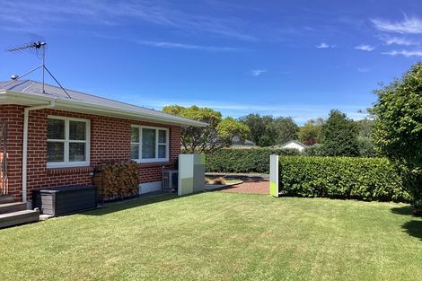 Photo of property in 17 Hinaki Street, Inner Kaiti, Gisborne, 4010