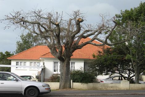 Photo of property in 10 Masters Avenue, Hillcrest, Hamilton, 3216