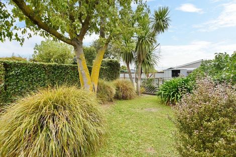 Photo of property in 8 Douglas Street, Rangiora, 7400