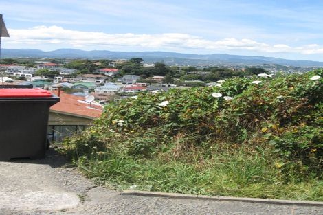 Photo of property in 47 Rakau Road, Hataitai, Wellington, 6021