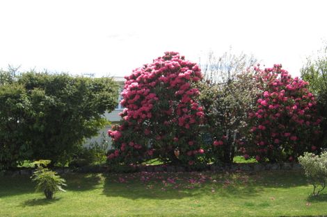 Photo of property in 4 Williams Street, Taupo, 3330