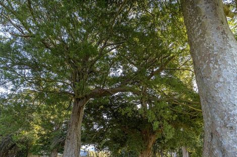 Photo of property in 23 Orchard Road, Greytown, 5712