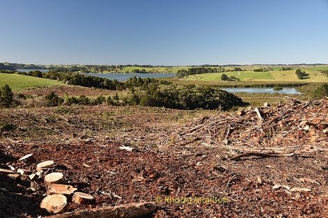 Photo of property in 186 Metcalfe Road, Ranui, Auckland, 0612