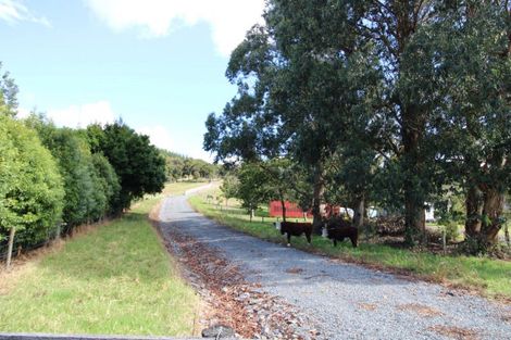 Photo of property in 1216 Whangapoua Sh25 Road, Te Rerenga, Coromandel, 3582