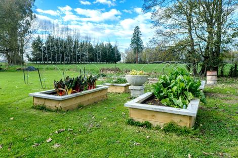 Photo of property in 51 Tancred Street, Geraldine, 7930