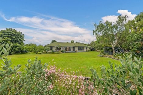 Photo of property in 7a Ranfurly Road, Feilding, 4702