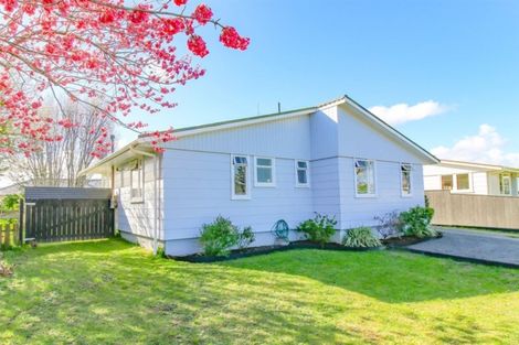 Photo of property in 23 Hackett Street, Whanganui East, Whanganui, 4500