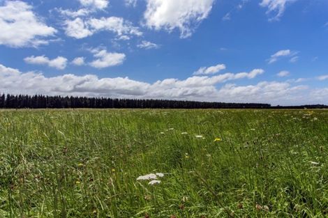 Photo of property in 1136 Poyntzs Road, Eyrewell, Rangiora, 7476