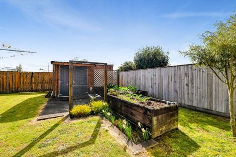 Photo of property in 120 Miranda Street, Stratford, 4332