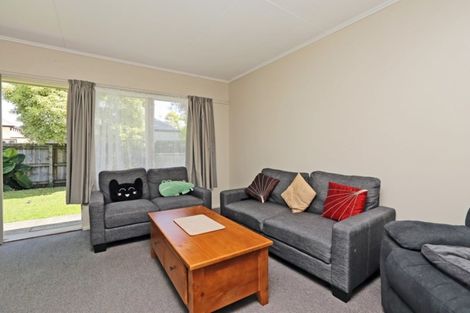 Photo of property in 307 Lyndon Road West, Hastings, 4122