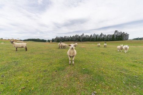 Photo of property in 10 Black Lane, Te Anau, 9672