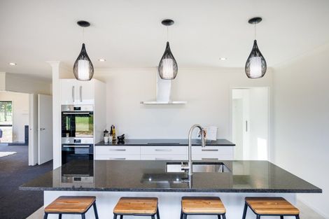 Photo of property in 167 Spur Road West, Colyton, Feilding, 4775