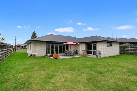 Photo of property in 16 Ashworth Place, Matamata, 3400
