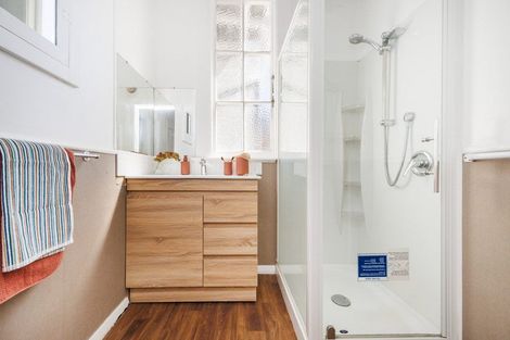 Photo of property in 45 Limbrick Street, Terrace End, Palmerston North, 4410