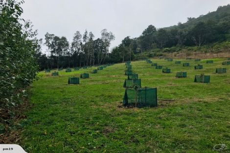 Photo of property in 1449 State Highway 14, Maungatapere, Whangarei, 0179