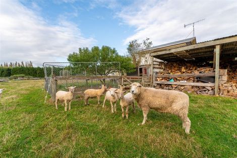 Photo of property in 7 Massey Street, Waimate, 7924