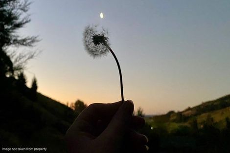 Photo of property in 420 Atawhai Drive, Wakapuaka, Nelson, 7071