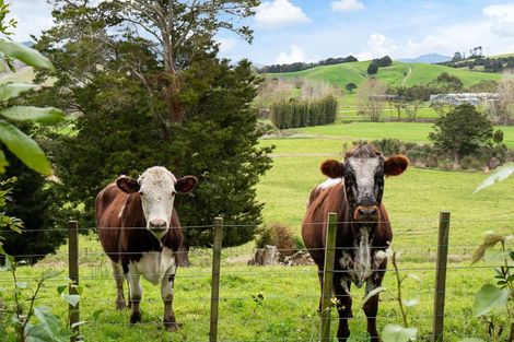 Photo of property in 458 Pukehuia Road, Tangiteroria, 0381