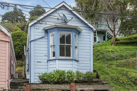 Photo of property in 207 Aro Street, Aro Valley, Wellington, 6021