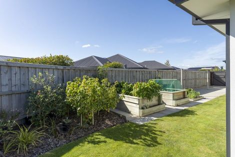 Photo of property in 41 Watkins Drive, Rangiora, 7400