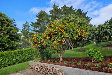 Photo of property in 17 Wallace Place, Tauriko, Tauranga, 3110