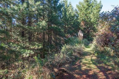 Photo of property in 70 Holliss Avenue, Cashmere, Christchurch, 8022