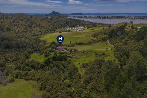 Photo of property in 49 Red Bridge Road, Pukepoto, Hikuai, 3579