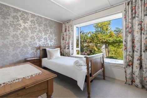 Photo of property in 480b Youngson Road, Whakamarama, 3179