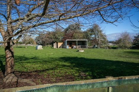 Photo of property in 66 Mill Road, Ohaupo, 3881