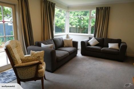 Photo of property in 51 Ngaio Street, Saint Martins, Christchurch, 8022