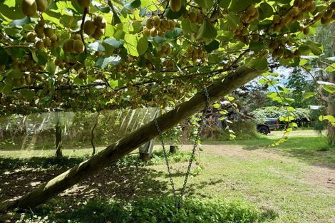 Photo of property in 29 I'anson Road, Minden, 3179