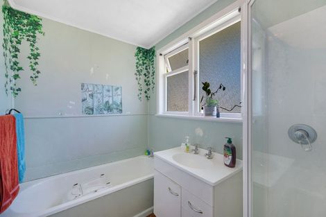 Photo of property in 42 Francis Drake Street, Waipukurau, 4200