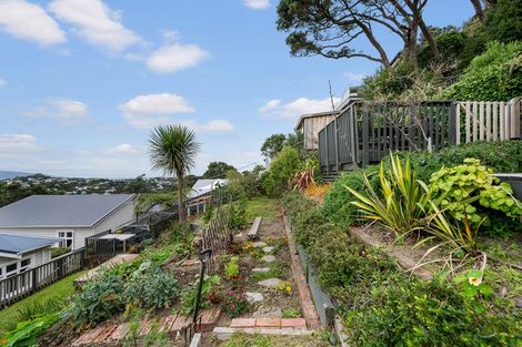 Photo of property in 66 Mitchell Street, Brooklyn, Wellington, 6021