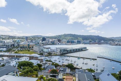 Photo of property in 53 Hawker Street, Mount Victoria, Wellington, 6011