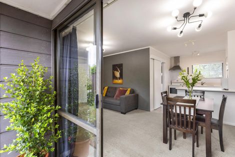 Photo of property in 99b Nixon Street, Hamilton East, Hamilton, 3216