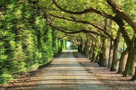 Photo of property in 459 Flora East, Makarewa, Invercargill, 9876