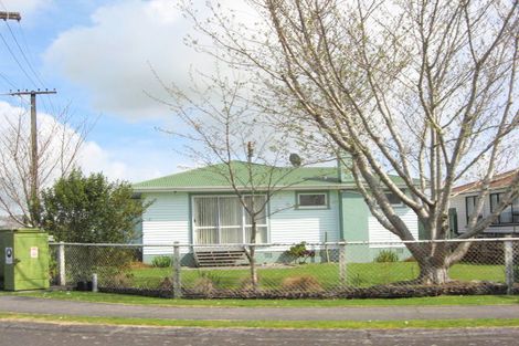 Photo of property in 16 Pukatea Street, Inglewood, 4330