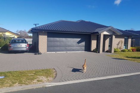 Photo of property in 4 Hato Patariki Lane, Nukuhau, Taupo, 3330