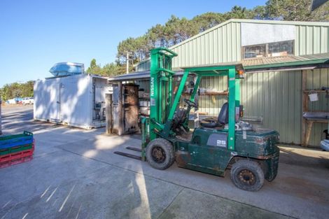 Photo of property in 1965 Tiki Sh25 Road, Preece Point, Coromandel, 3506